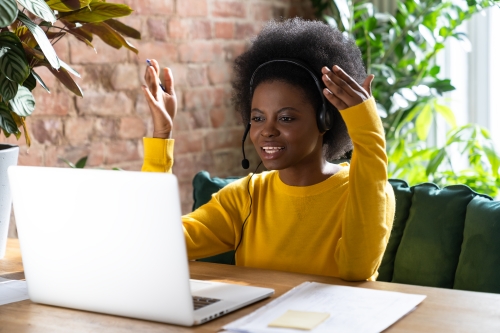 Successful Online Meetings (SOM)